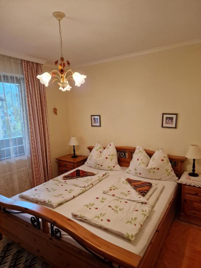 Appartment Christine Bad Aussee Ngoại thất bức ảnh